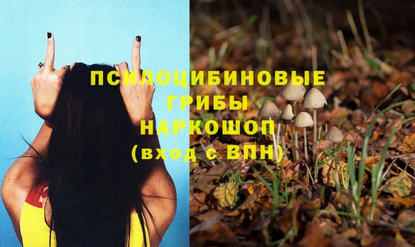 гидропоника Лагань