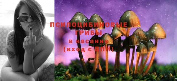 гидропоника Лагань