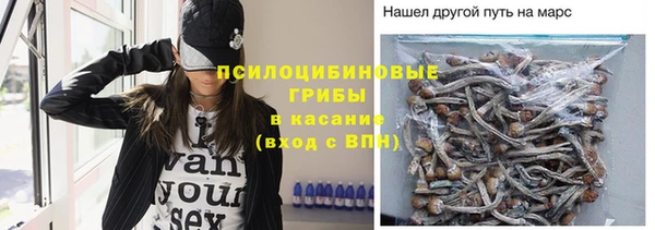твердый Братск